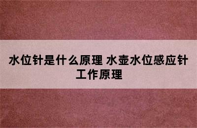 水位针是什么原理 水壶水位感应针工作原理